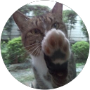 横田英昭 profile picture