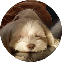 リアンミルキー profile picture